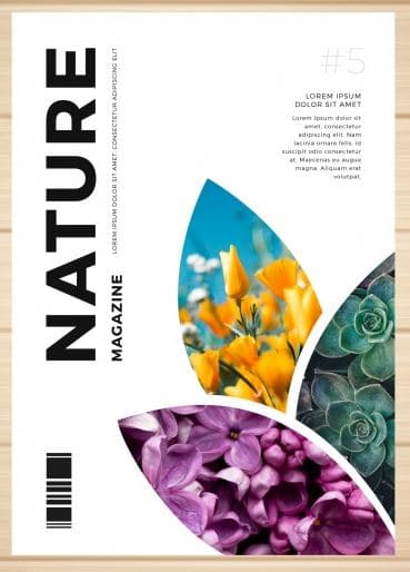 כל המידע על  לימודי עיצוב גרפי ההמלצה שלי