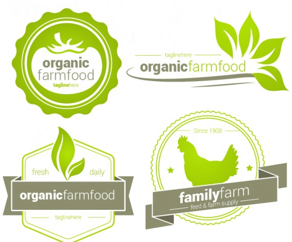 כל המידע על  כמה מרוויחים מעצבים גרפיים